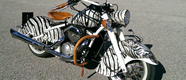 Erste Ausfahrt Kawasaki